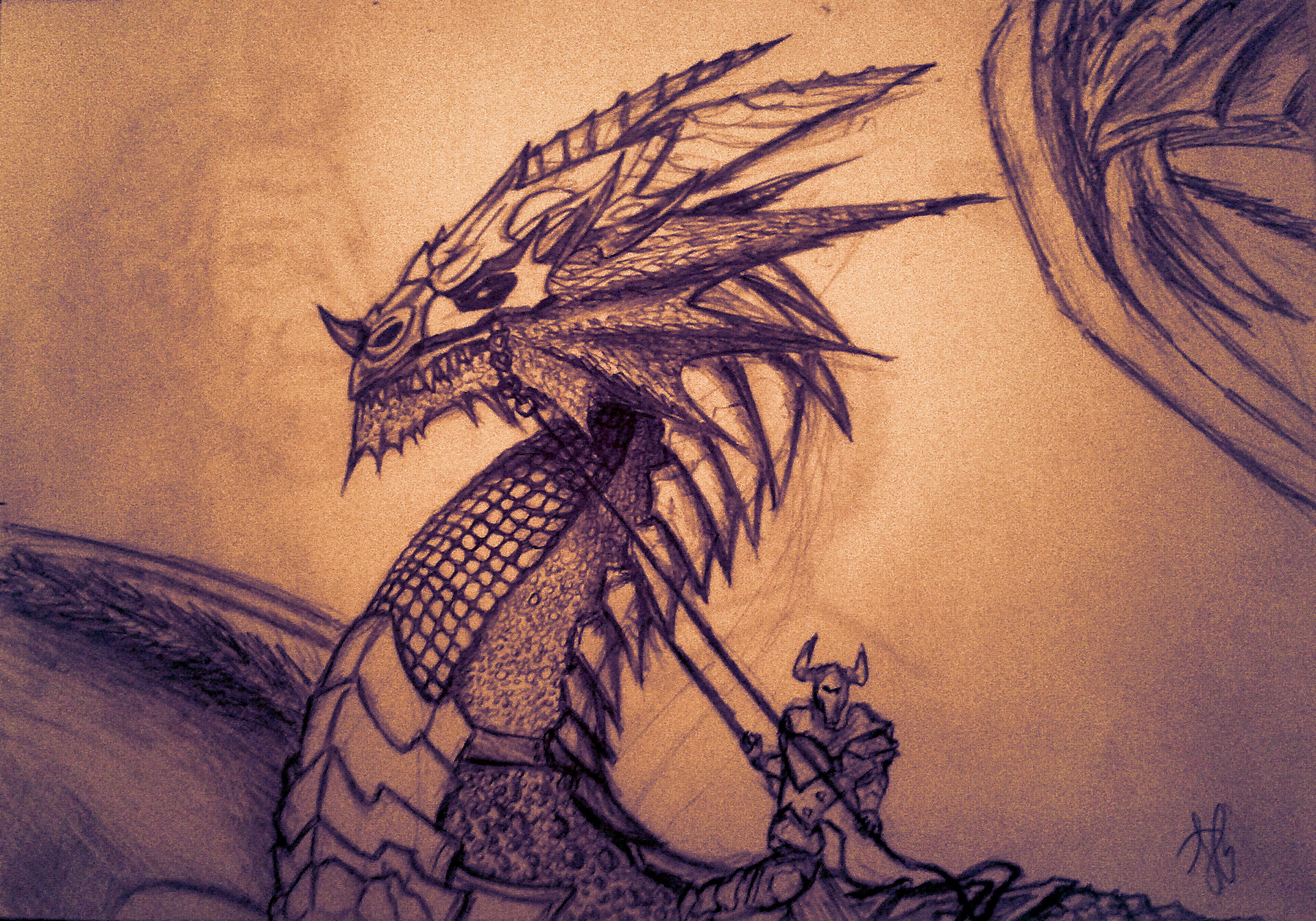 Dragon / drawing