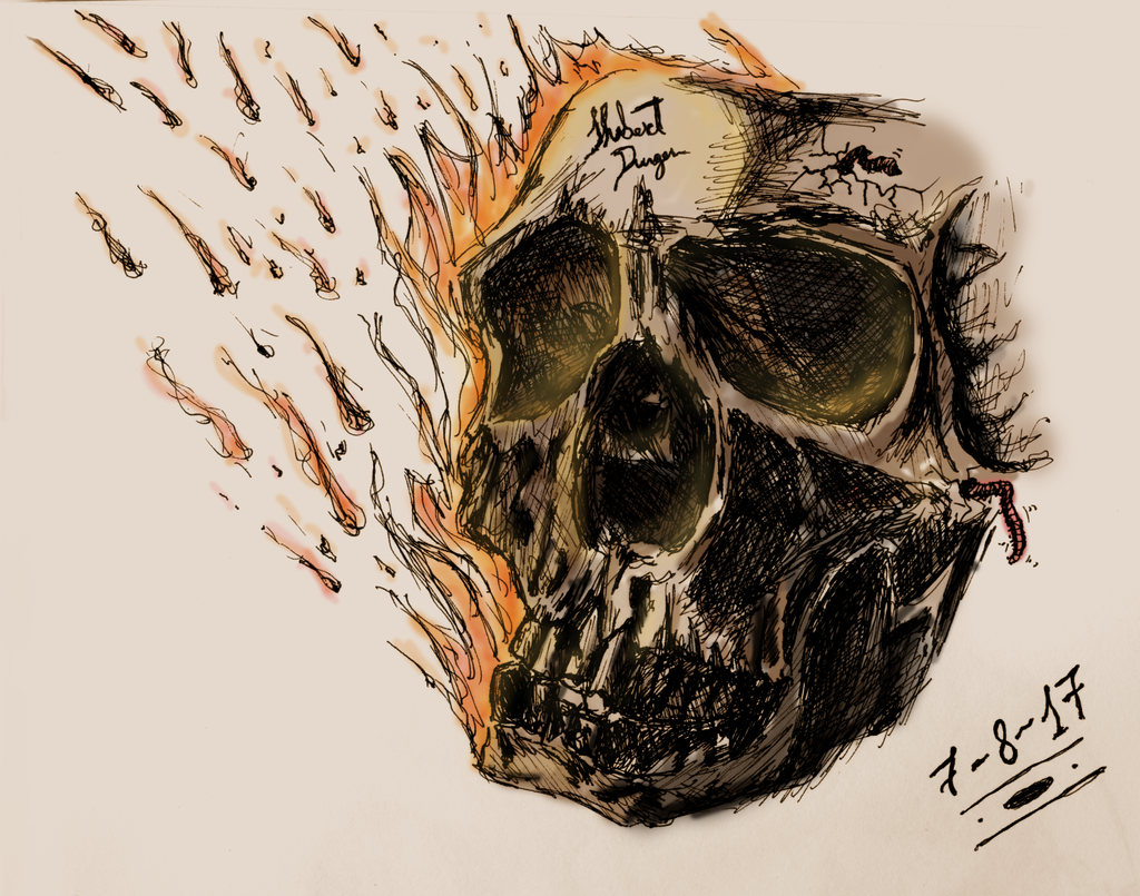 Skull study