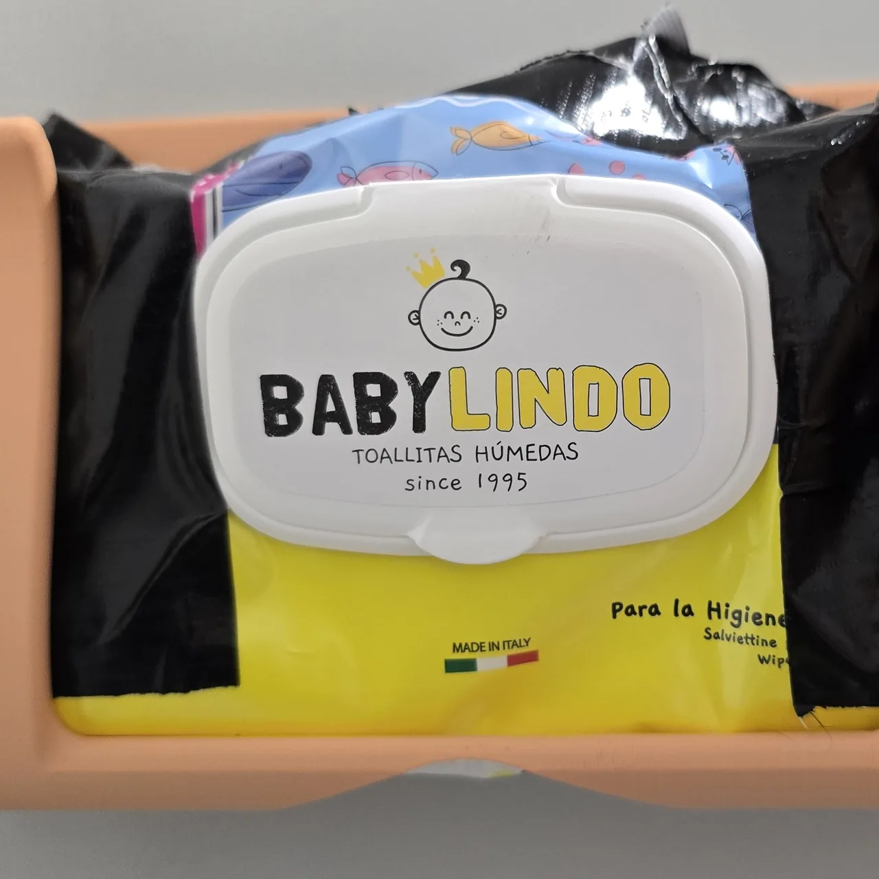 Wall-mounted wipes holder holding a pack of wipes