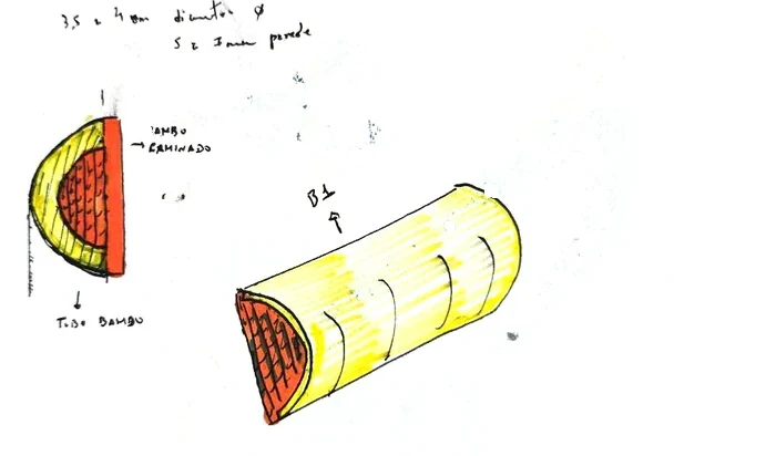 Marker study of a bamboo tube and its laminated section