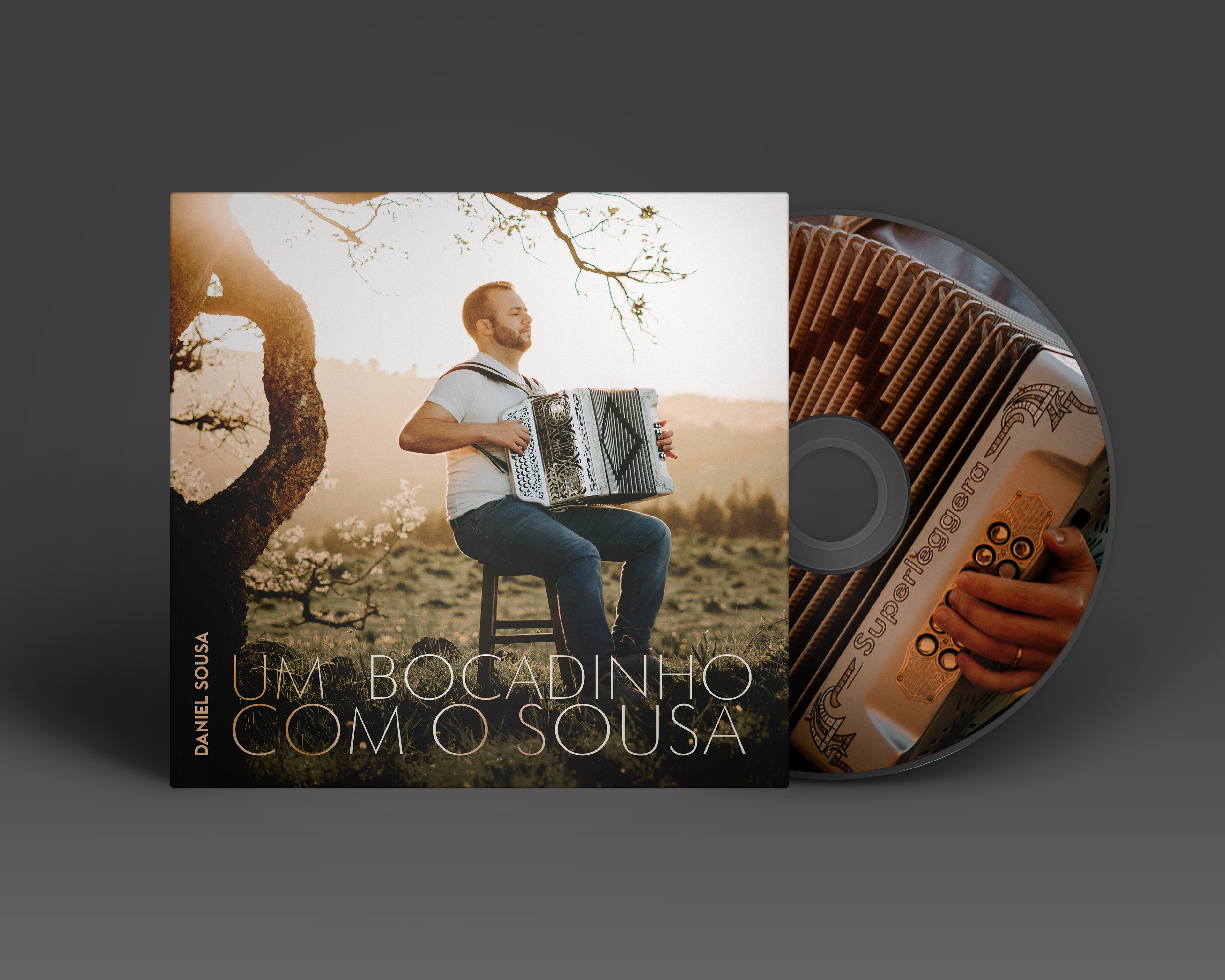 Cover artwork · LM Collection — project artwork