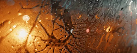 Rain on the glass lit orange, lines branching like roads