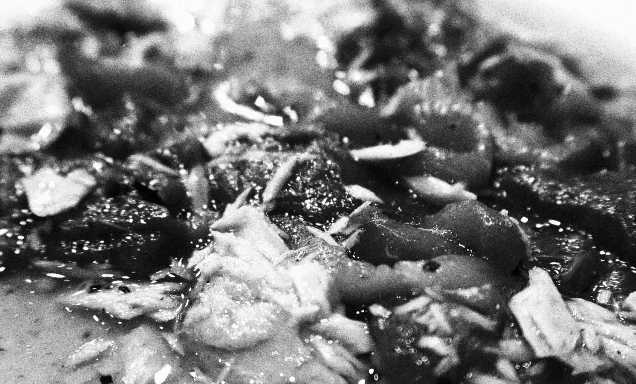 Decontextualised food / highlights