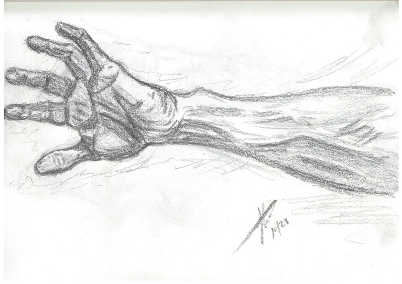 Hand / anatomical study
